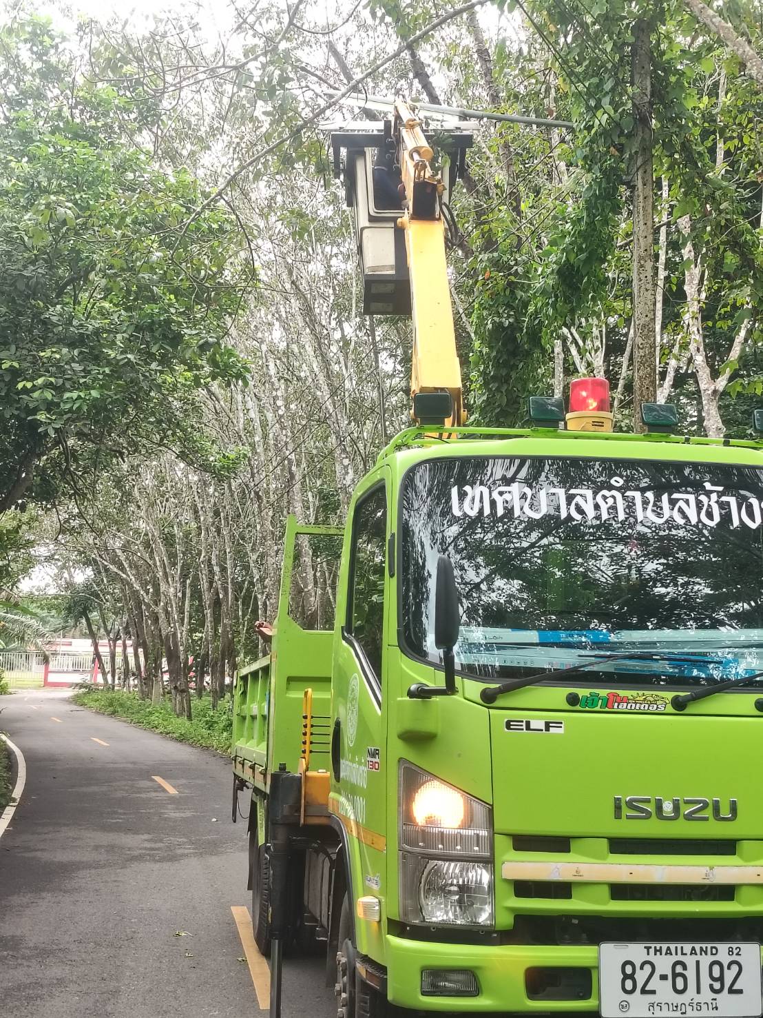 เมื่อวันที่ 27 ตุลาคม  2568
นายชูชัย อุดมศรีโยธิน นายกเทศบาลตำบลช้างซ้าย ได้สั่งการให้กองช่างดำเนินการนำรถกระเช้าออกปฎิบัติภารกิจซ่อมแซมไฟฟ้าแสงสว่างสาธารณะบริเวณ หมู่ที่ 6 ซอยโรงเรียนบ้านห้วยด่าน และ หมู่ที่ 1 บ้านปากคู ตอนนี้ได้ดำเนินการเสร็จสิ้นเรียบร้อยแล้ว